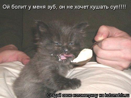 Ой болит у меня зуб, он не хочет кушать суп!!!!... Котоматрица: Ой болит у меня зуб, он не хочет кушать суп!!!!