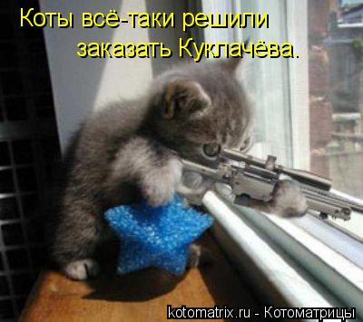 Коты всё-таки решили заказать Куклачёва.... Котоматрица: Коты всё-таки решили заказать Куклачёва.