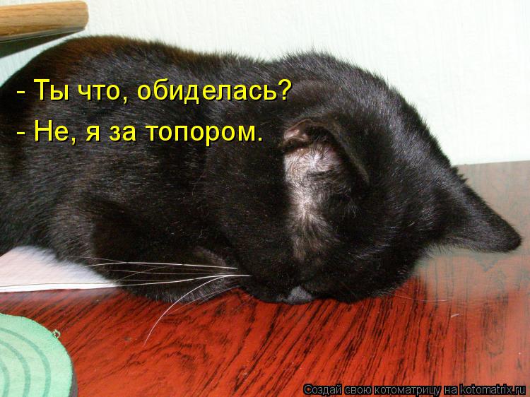 - Ты что, обиделась? - Не, я за топором.... Котоматрица: - Ты что, обиделась? - Не, я за топором.