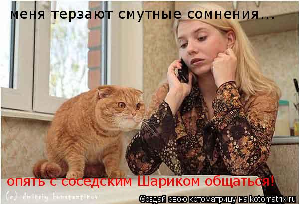 Котоматрица: меня терзают смутные сомнения... опять с соседским Шариком общаться!