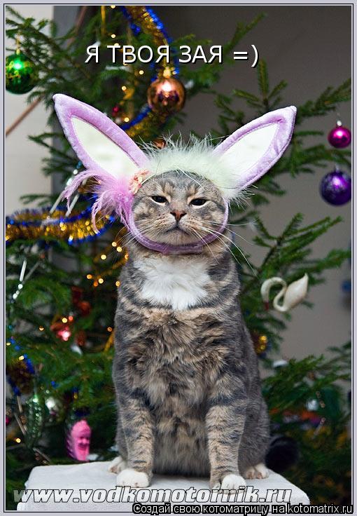 Я ТВОЯ ЗАЯ =)... Котоматрица: Я ТВОЯ ЗАЯ =)