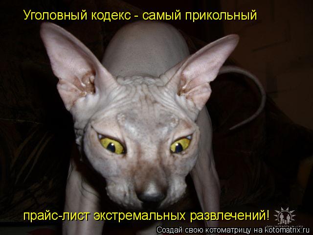 Уголовный кодекс - самый прикольный прайс-лист экстремальных развлечений!... Котоматрица: Уголовный кодекс - самый прикольный прайс-лист экстремальных развлечений!