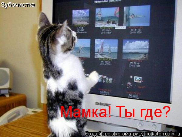 Зубочистка Мамка! Ты где?... Котоматрица: Зубочистка Мамка! Ты где?