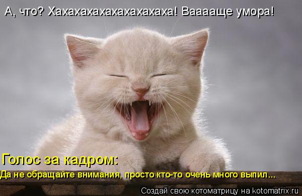 А, что? Хахахахахахахахахаха! Вааааще умора! Голос за кадром: Да не обращайте внимания, просто кто-то... Котоматрица: А, что? Хахахахахахахахахаха! Вааааще умора! Голос за кадром: Да не обращайте внимания, просто кто-то очень много выпил...