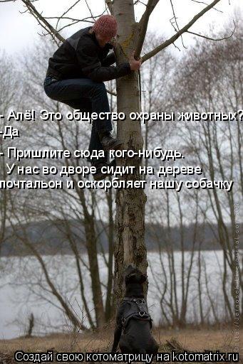 - Пришлите сюда кого-нибудь. У нас во дворе сидит на дереве почтальон и оскорбляет нашу собачку - А... Котоматрица: - Пришлите сюда кого-нибудь. У нас во дворе сидит на дереве почтальон и оскорбляет нашу собачку - Алё! Это общество охраны животных? -Да