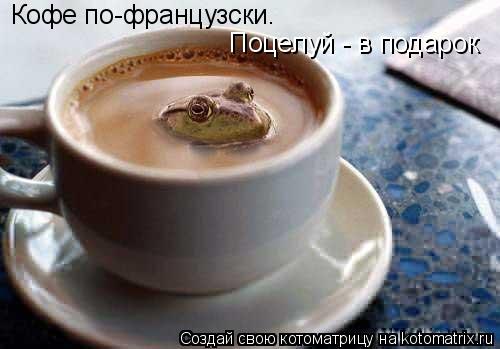 Кофе по-французски. Поцелуй - в подарок... Котоматрица: Кофе по-французски. Поцелуй - в подарок