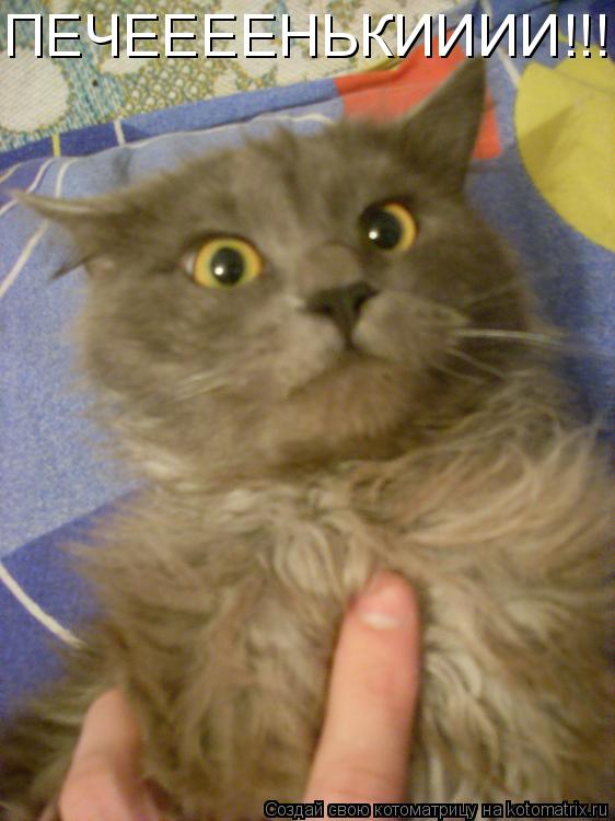 ПЕЧЕЕЕЕНЬКИИИИ!!!... Котоматрица: ПЕЧЕЕЕЕНЬКИИИИ!!!