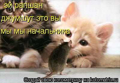 эй рапшан джумшут это вы мы мы начальника... Котоматрица: эй рапшан джумшут это вы мы мы начальника