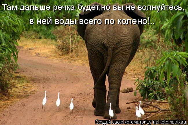 Там дальше речка будет,но вы не волнуйтесь, в ней воды всего по колено!..... Котоматрица: Там дальше речка будет,но вы не волнуйтесь, в ней воды всего по колено!..
