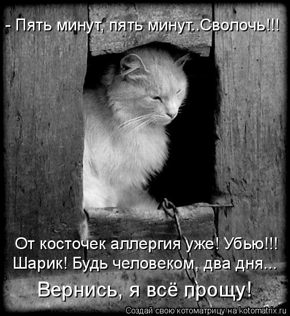 Котоматрица: - Пять минут, пять минут..Сволочь!!! От косточек аллергия уже! Убью!!! Шарик! Будь человеком, два дня... Вернись, я всё прощу!