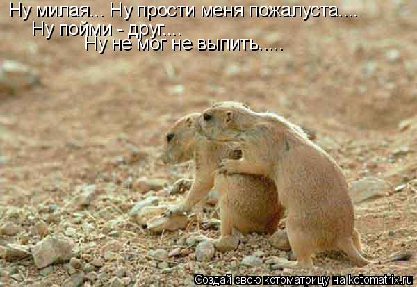 Ну милая... Ну прости меня пожалуста.... Ну пойми - друг.... Ну не мог не выпить........ Котоматрица: Ну милая... Ну прости меня пожалуста.... Ну пойми - друг.... Ну не мог не выпить.....