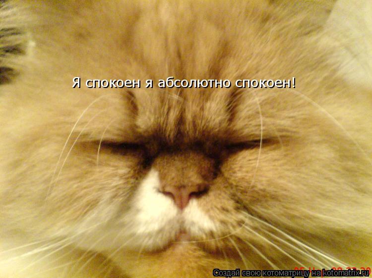 Я спокоен я абсолютно спокоен!... Котоматрица: Я спокоен я абсолютно спокоен!