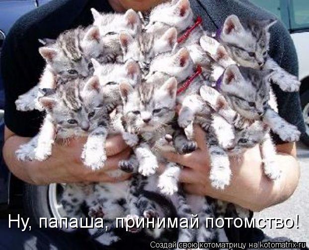Ну, папаша, принимай потомство!... Котоматрица: Ну, папаша, принимай потомство!