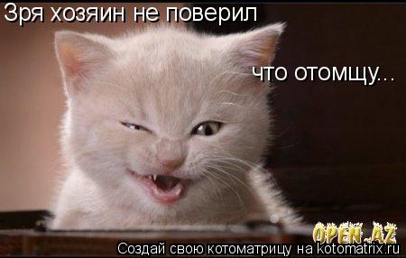 Зря хозяин не поверил что отомщу...... Котоматрица: Зря хозяин не поверил что отомщу...