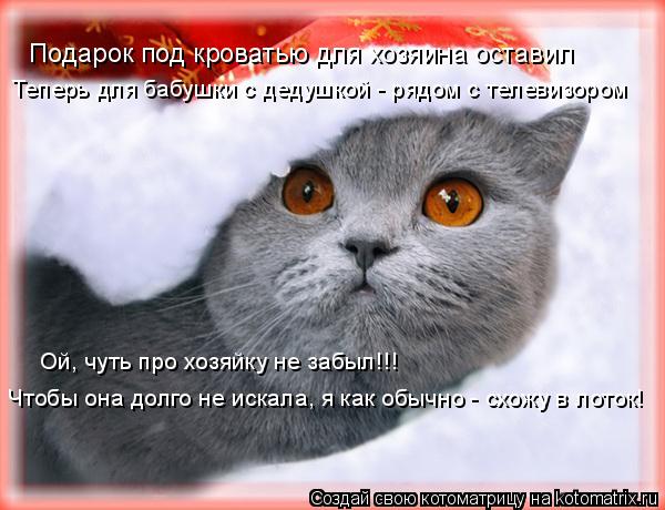 Подарок под кроватью для хозяина оставил Теперь для бабушки с дедушкой - рядом с телевизором Ой, чуть... Котоматрица: Подарок под кроватью для хозяина оставил Теперь для бабушки с дедушкой - рядом с телевизором Ой, чуть про хозяйку не забыл!!! Чтобы она долго