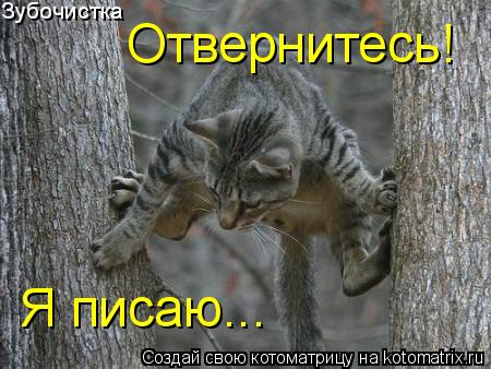 Зубочистка Отвернитесь! Я писаю...... Котоматрица: Зубочистка Отвернитесь! Я писаю...