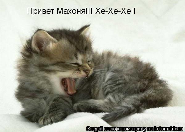 Привет Махоня!!! Хе-Хе-Хе!!... Котоматрица: Привет Махоня!!! Хе-Хе-Хе!!