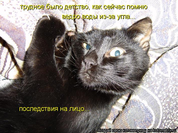 трудное было детство, как сейчас помню ведро воды из-за угла... последствия на лицо...... Котоматрица: трудное было детство, как сейчас помню ведро воды из-за угла... последствия на лицо...