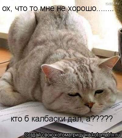 ох, что то мне не хорошо........ кто б калбаски дал, а?????... Котоматрица: ох, что то мне не хорошо........ кто б калбаски дал, а?????