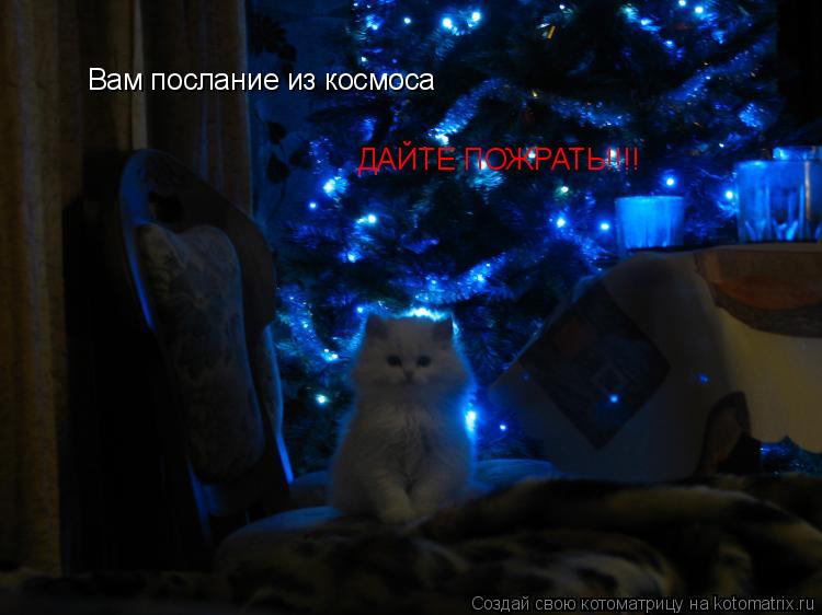 Котоматрица: Вам послание из космоса ДАЙТЕ ПОЖРАТЬ!!!!