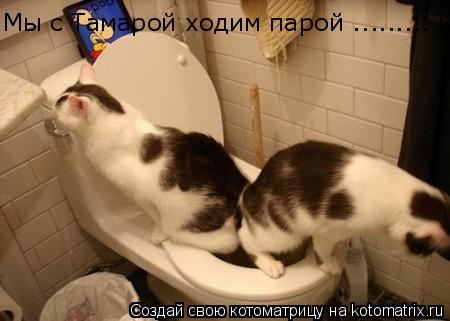 Мы с Тамарой ходим парой ......... и по нужде тоже!... Котоматрица: Мы с Тамарой ходим парой ......... и по нужде тоже!