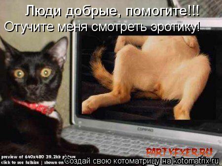 Отучите меня смотреть эротику! Люди добрые, помогите!!!... Котоматрица: Отучите меня смотреть эротику! Люди добрые, помогите!!!