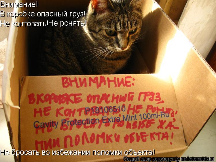 Котоматрица: Внимание! В коробке опасный груз! Не контовать! Не бросать во избежании поломки объекта! Не ронять!