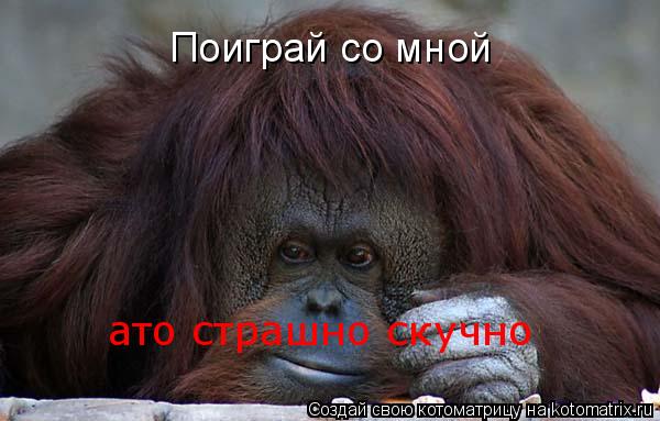 Поиграй со мной ато страшно скучно... Котоматрица: Поиграй со мной ато страшно скучно