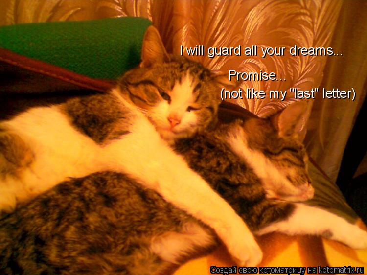 I will guard all your dreams... Promise... Promise... (not like my "last" letter) (not like my "la... Котоматрица: I will guard all your dreams... Promise... Promise... (not like my "last" letter) (not like my "last" letter)