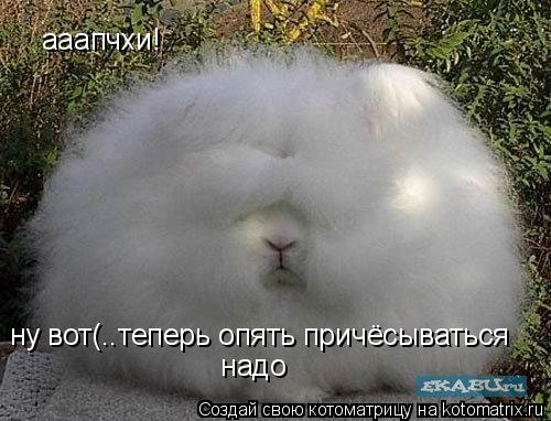 ааапчхи! ну вот(..теперь опять причёсываться надо... Котоматрица: ааапчхи! ну вот(..теперь опять причёсываться надо