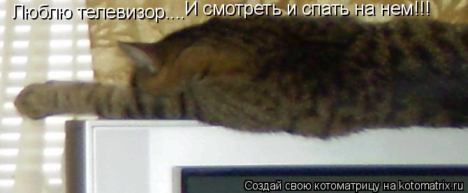 Люблю телевизор.... И смотреть и спать на нем!!!... Котоматрица: Люблю телевизор.... И смотреть и спать на нем!!!