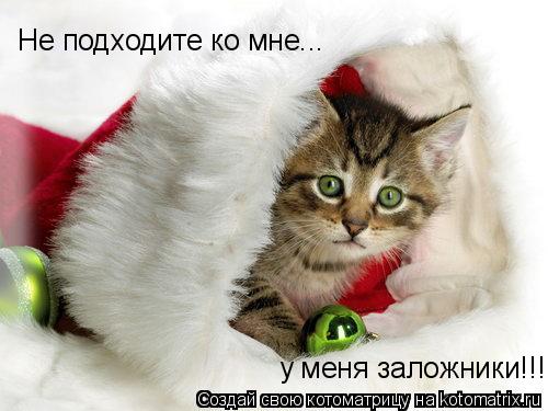 Не подходите ко мне... у меня заложники!!!... Котоматрица: Не подходите ко мне... у меня заложники!!!