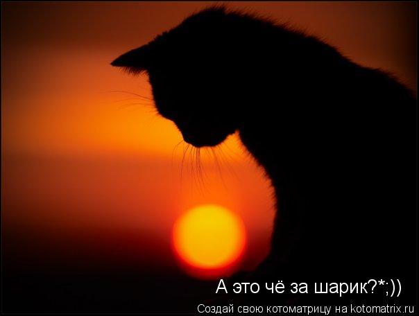 А это чё за шарик?*;))... Котоматрица: А это чё за шарик?*;))