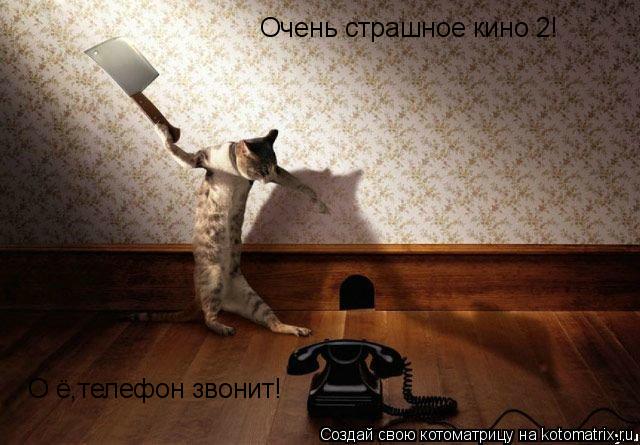 Очень страшное кино 2! О ё,телефон звонит!... Котоматрица: Очень страшное кино 2! О ё,телефон звонит!