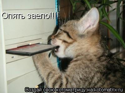 Опять заело!!!!... Котоматрица: Опять заело!!!!
