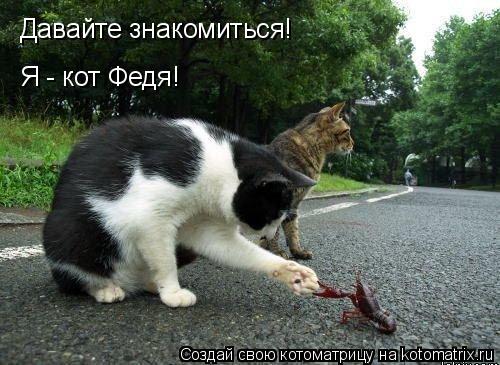 Котоматрица: Давайте знакомиться! Я - кот Федя!