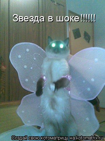 Звезда в шоке!!!!!!... Котоматрица: Звезда в шоке!!!!!!