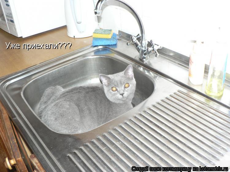 Уже приехали???... Котоматрица: Уже приехали???