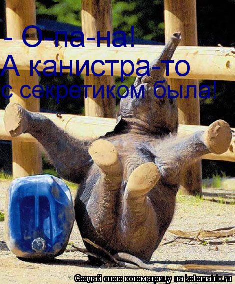 - О-па-на! А канистра-то с секретиком была!... Котоматрица: - О-па-на! А канистра-то с секретиком была!