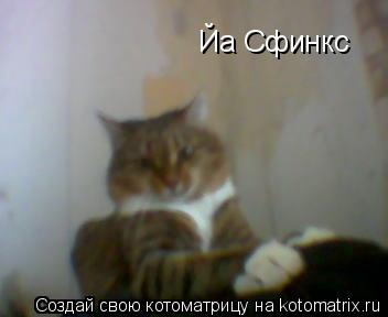Йа Сфинкс... Котоматрица: Йа Сфинкс