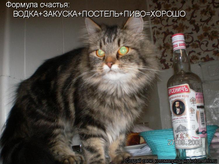 Формула счастья: ВОДКА+ЗАКУСКА+ПОСТЕЛЬ+ПИВО=ХОРОШО... Котоматрица: Формула счастья: ВОДКА+ЗАКУСКА+ПОСТЕЛЬ+ПИВО=ХОРОШО