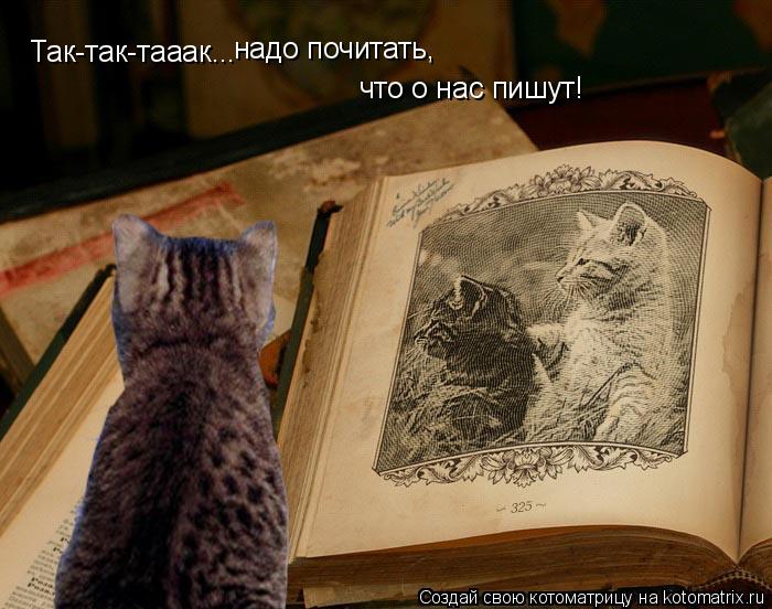 Так-так-тааак... надо почитать, что о нас пишут!... Котоматрица: Так-так-тааак... надо почитать, что о нас пишут!