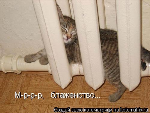 М-р-р-р, блаженство...... Котоматрица: М-р-р-р, блаженство...