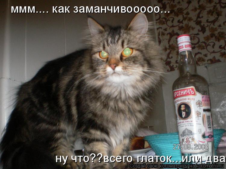 ммм.... как заманчивооооо... ну что??всего глаток...или два...... Котоматрица: ммм.... как заманчивооооо... ну что??всего глаток...или два...