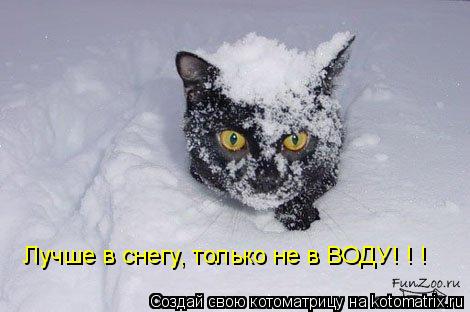 Лучше в снегу, только не в ВОДУ! ! !... Котоматрица: Лучше в снегу, только не в ВОДУ! ! !