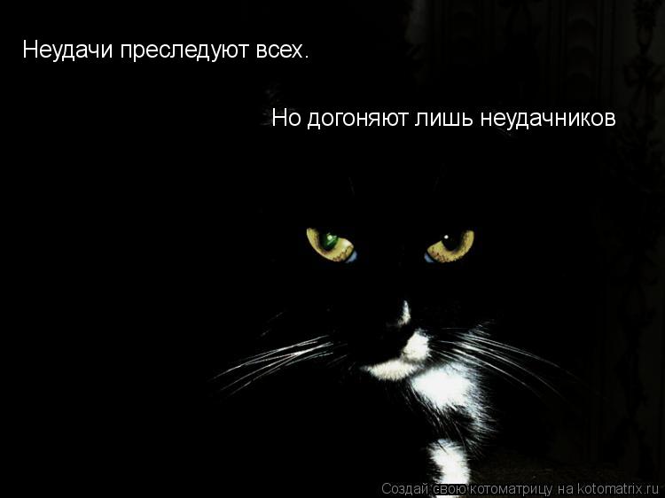 Котоматрица: Неудачи преследуют всех. Но догоняют лишь неудачников