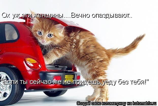 Ох уж эти женщины....Вечно опаздывают.. "Если ты сейчас же не придешь,уеду без тебя!"... Котоматрица: Ох уж эти женщины....Вечно опаздывают.. "Если ты сейчас же не придешь,уеду без тебя!"