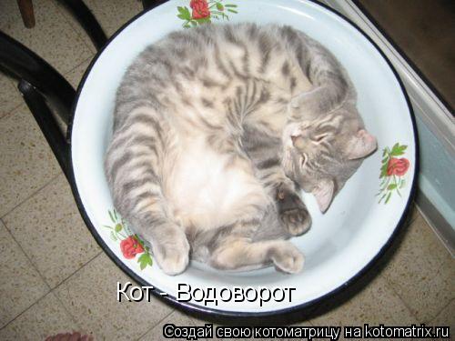 Котоматрица: Кот - Водоворот Кот - Водоворот
