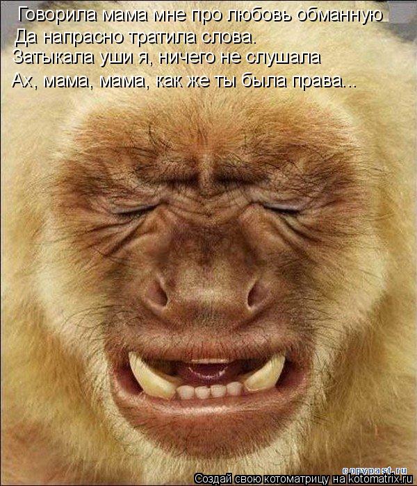 Говорила мама мне про любовь обманную Да напрасно тратила слова. Затыкала уши я, ничего не слушала Ах... Котоматрица: Говорила мама мне про любовь обманную Да напрасно тратила слова. Затыкала уши я, ничего не слушала Ах, мама, мама, как же ты была права...