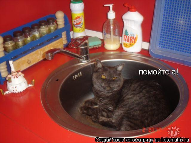 помойте а!... Котоматрица: помойте а!